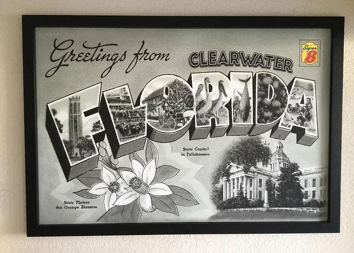 Super 8 By Wyndham Clearwater/Us Hwy 19 N